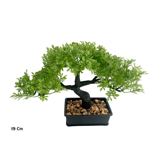 Alpha 55 Peite Bonsaï en pot plastique vert déco