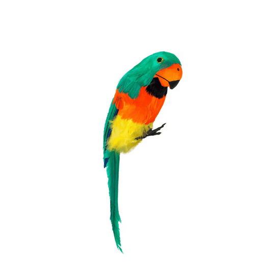 Alpha 55 Perroquet à plumes déco Halloween