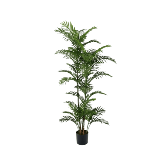 Alpha 55 Petite Palmier en pot plastique vert déco tropicale