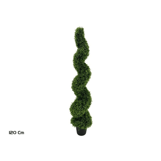 Alpha 55 Petite Topiaire spirale buis en pot plastique vert déco