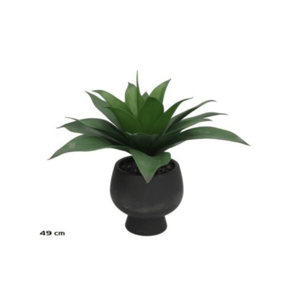 Alpha 55 Plante agave en pot céramique vert déco