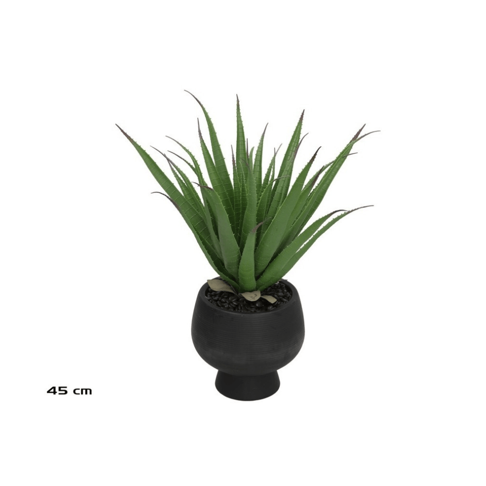 Alpha 55 Plante aloès en pot céramique vert déco