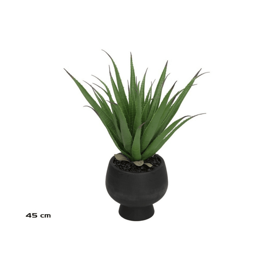 Alpha 55 Plante aloès en pot céramique vert déco