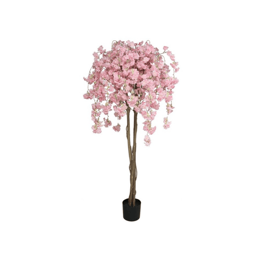 Alpha 55 Plante Amandier en Pot Décoratif