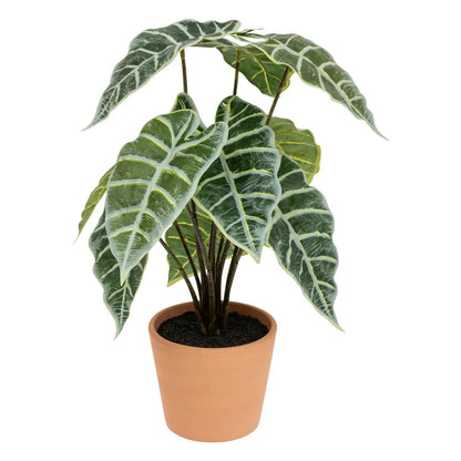 Alpha 55 Plante Artificielle Alocasia