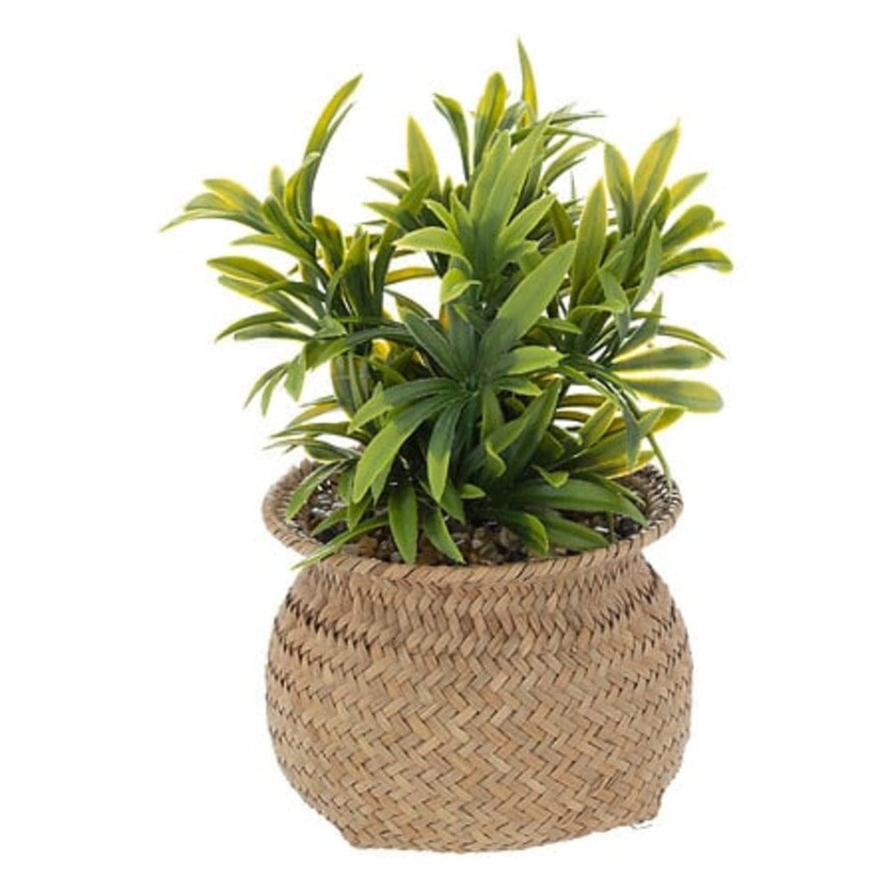 Alpha 55 Plante artificielle en pot "Jiling" en roseau
