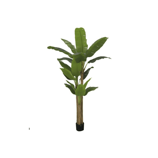 Alpha 55 Plante Bananier Feuilles Réalistes en Pot Décoratif