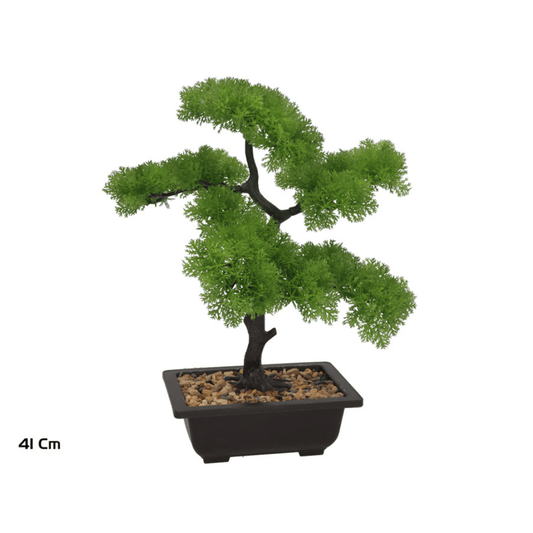 Alpha 55 Plante bonsaï en pot plastique vert