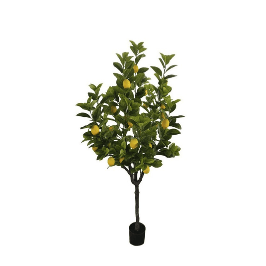Alpha 55 Plante Décorative Citronnier en Pot