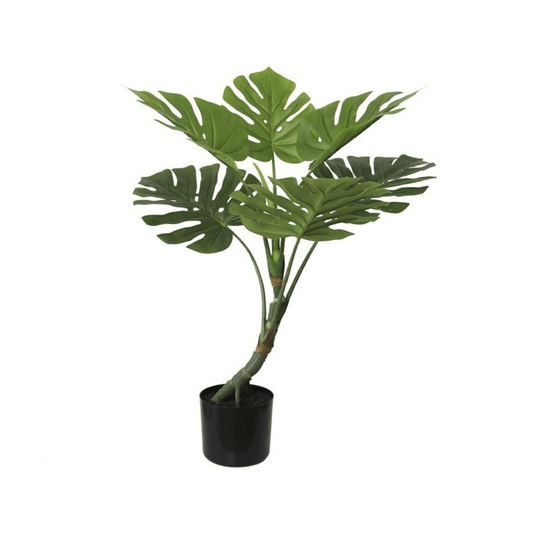 Alpha 55 Plante Décorative Monstera en Pot