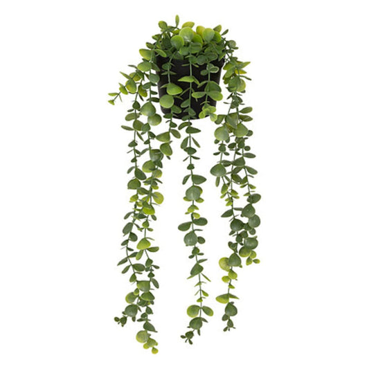 Alpha 55 Plante eucalyptus artificiel