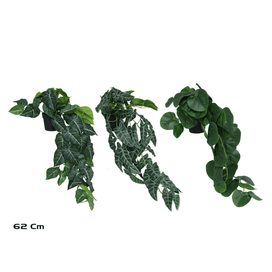 Alpha 55 Plante feuilles vertes en pot plastique déco