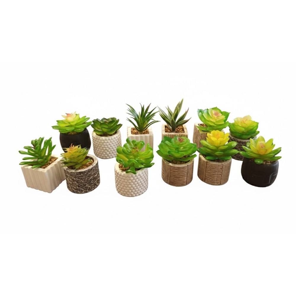 Alpha 55 Plante grasse en pot céramique décorative