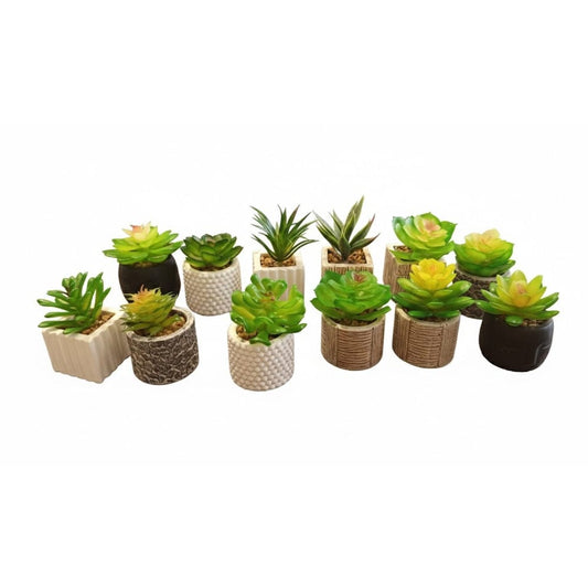 Alpha 55 Plante grasse en pot céramique décorative