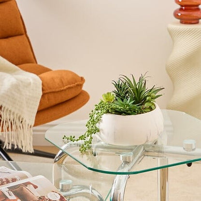 Alpha 55 Plante grasse Jesty en pot céramique – Déco nature