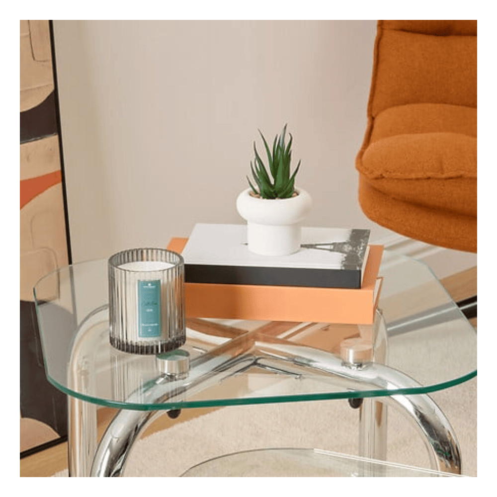 Alpha 55 Plante Grasse Stefi 15 cm avec Pot en Ciment