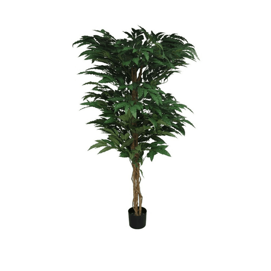 Alpha 55 Plante Manguier en Pot Décoratif Tropical