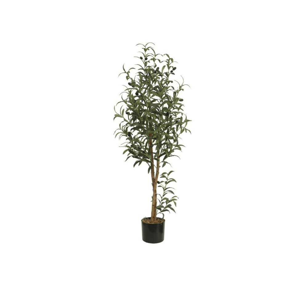 Alpha 55 Plante Olivier en Pot Décoratif Méditerranéen 122 cm