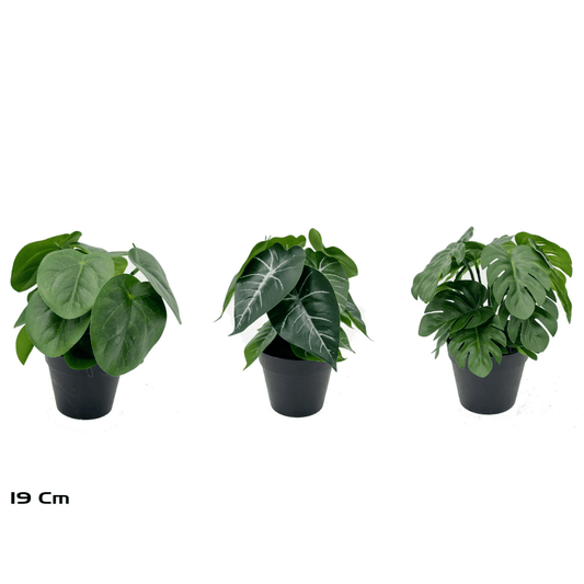 Alpha 55 Plante Real Touch en pot plastique déco