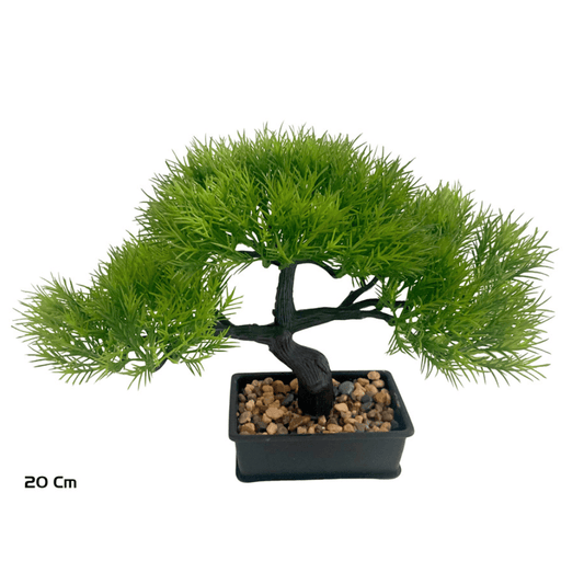 Alpha 55 Plante sauvages en pot plastique déco nature