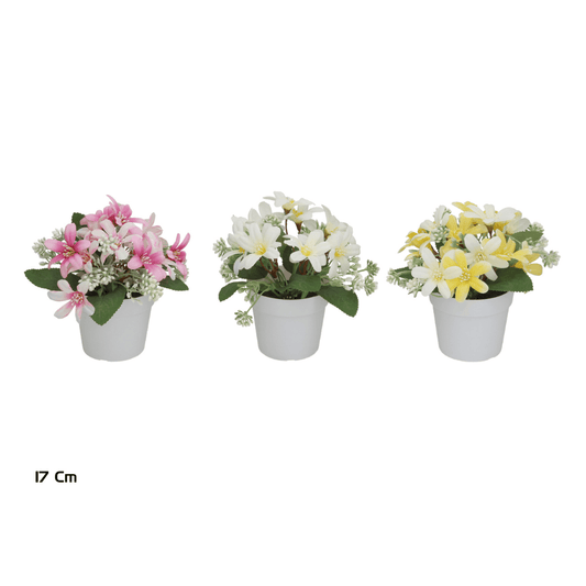 Alpha 55 Plante sauvages en pot plastique déco nature