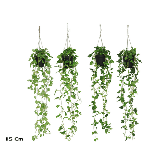 Alpha 55 Plante Suspendue en Pot Plastique Décoratif