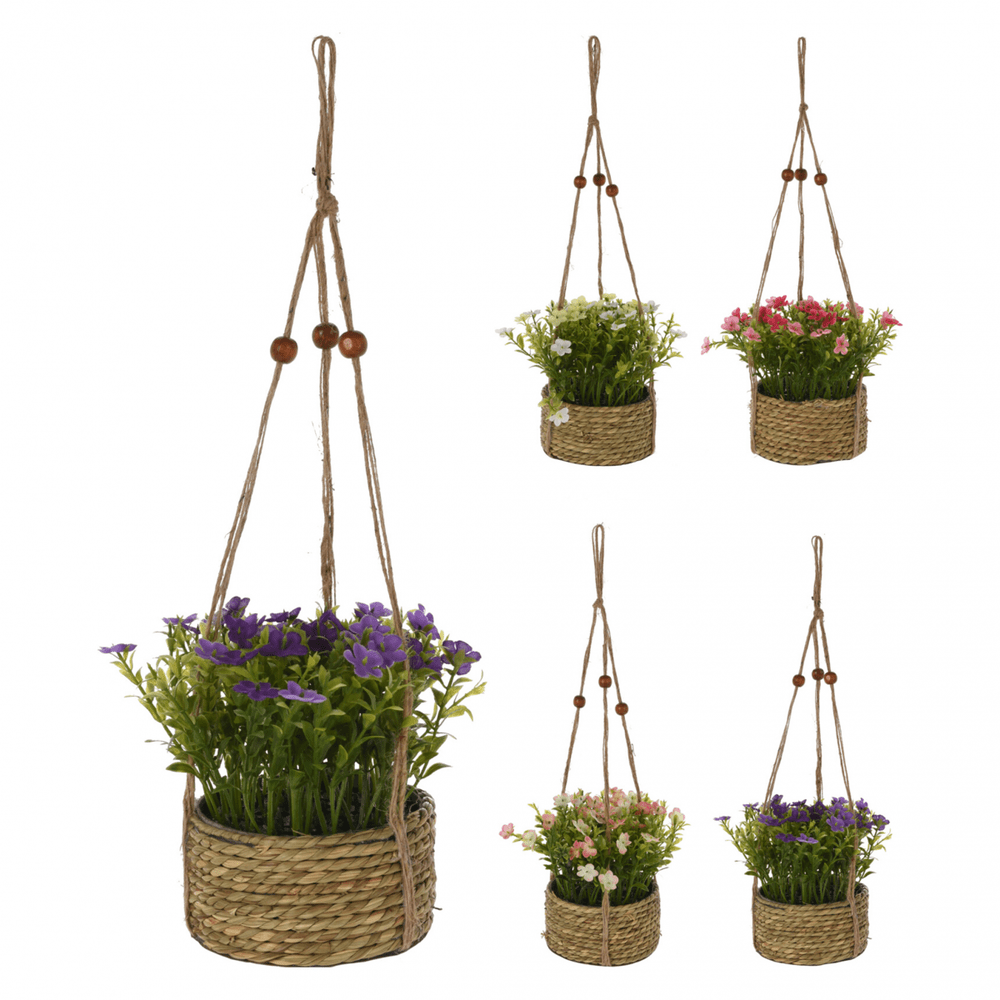 Alpha 55 Plante suspendue en pot seagrass