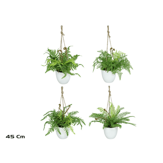 Alpha 55 Plante suspendue fougère en pot céramique