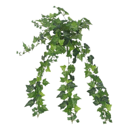 Alpha 55 Plante Suspendue Lierre Vert – Déco Naturelle & Fraîche