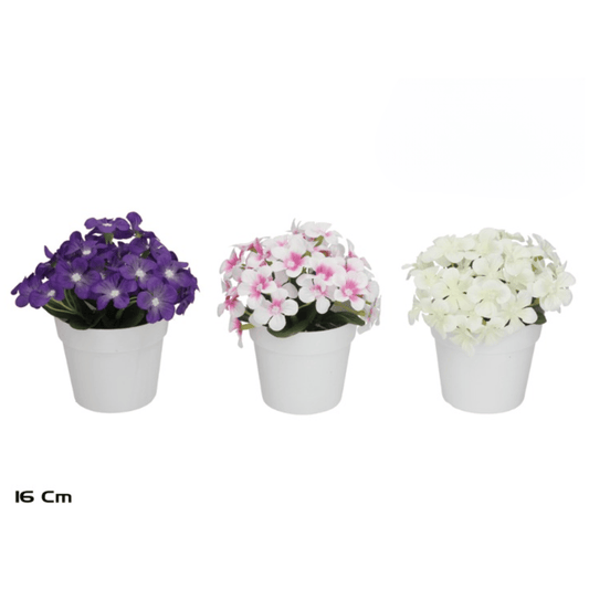 Alpha 55 Plante violettes pot en plastique déco fleurie