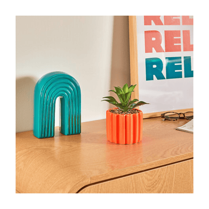 Alpha 55 Plante vivace Flow en pot céramique déco