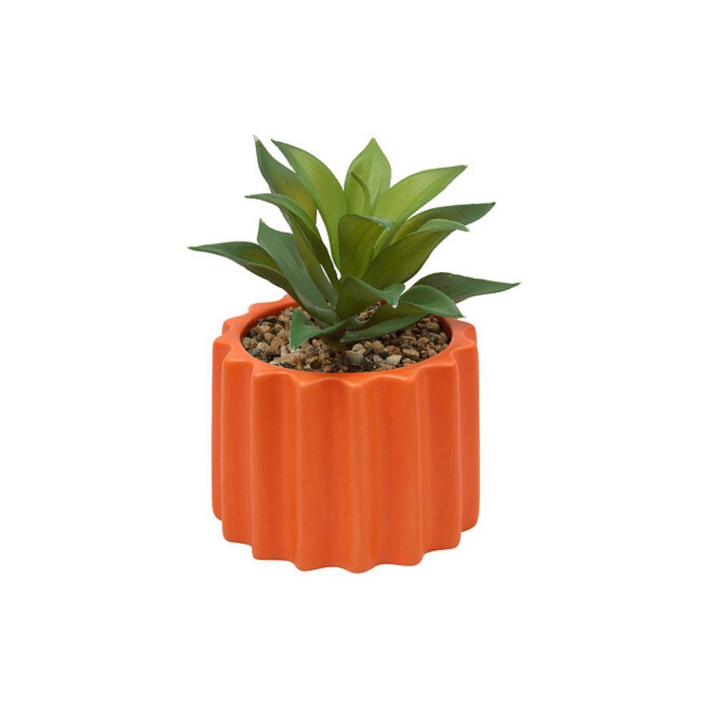 Alpha 55 Plante vivace Flow en pot céramique déco