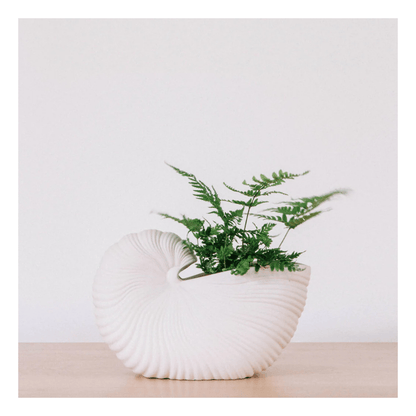 Alpha 55 Pot en céramique coquillage blanc décoratif