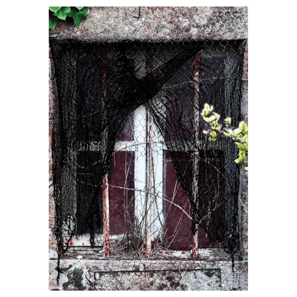 Alpha 55 Rideau Lambeaux Noir 75 x 220 cm – Décoration Halloween