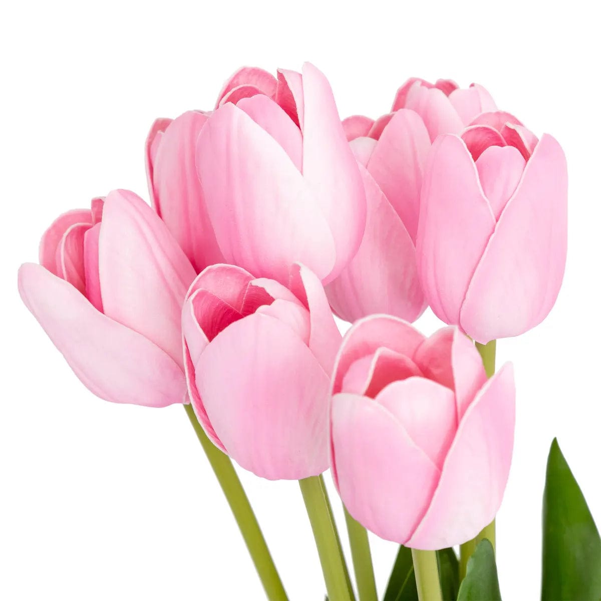 Alpha 55 Rose Bouquet de 10 Tulipes Artificielles