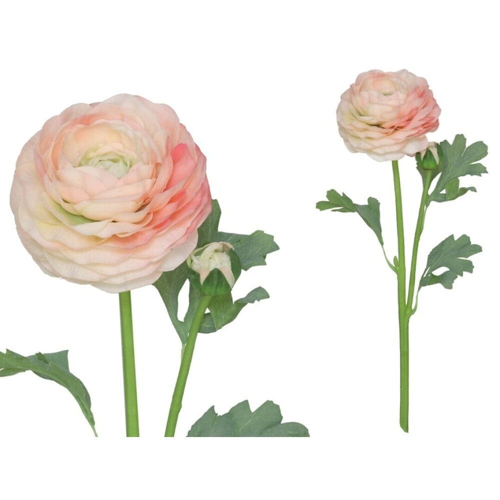 Alpha 55 Rose clair Tige de 2 fleurs de renoncule