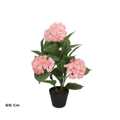 Alpha 55 Rose Hortensia Real Touch en pot plastique déco