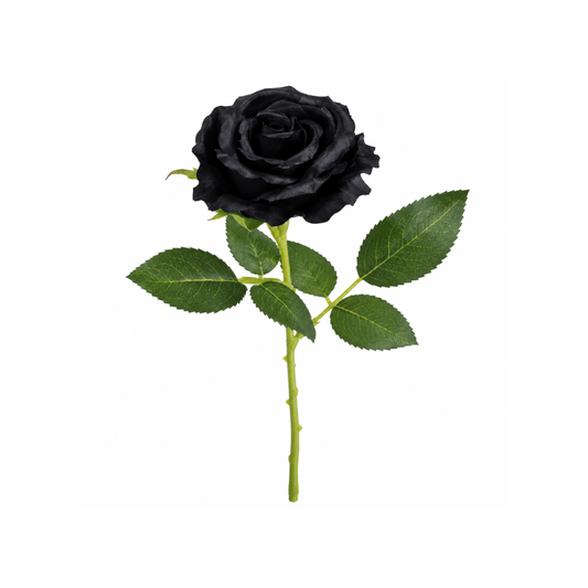 Alpha 55 Rose Noire 50 cm – Décoration Halloween