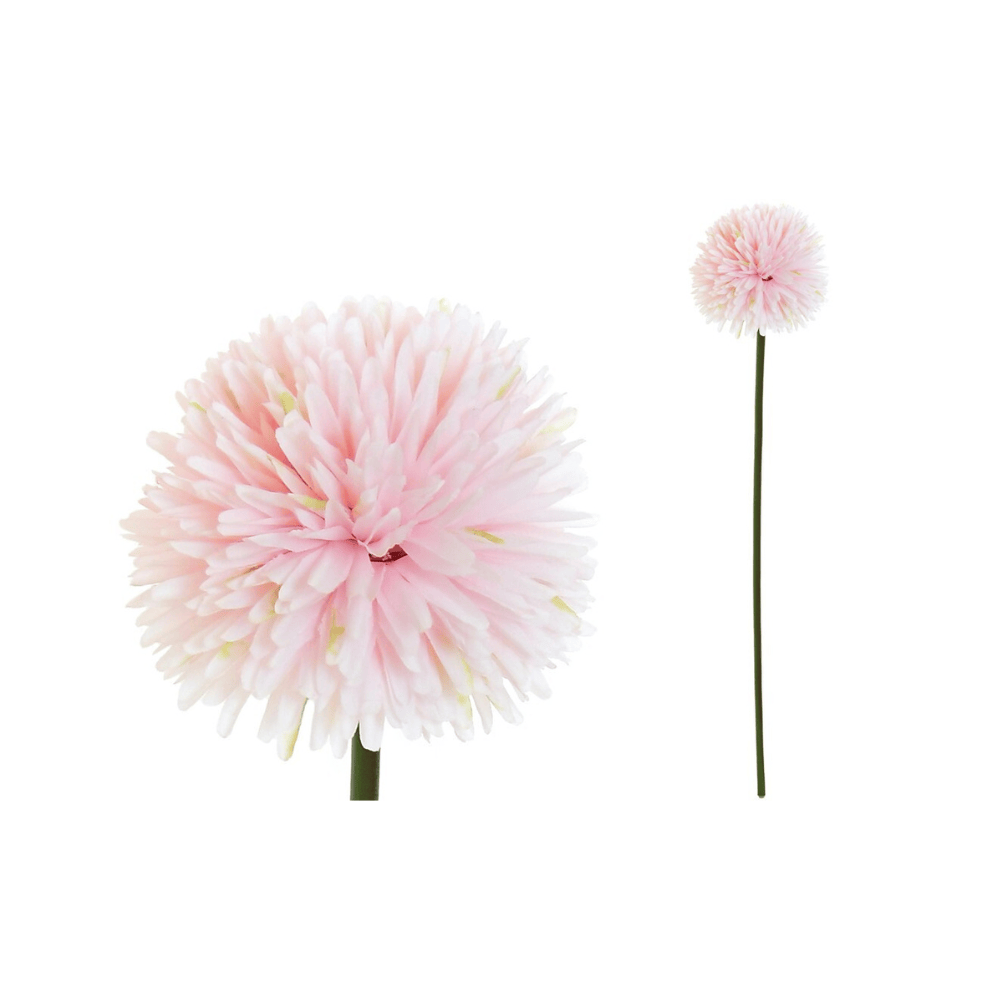 Alpha 55 Rose Tige chrysanthème décorative