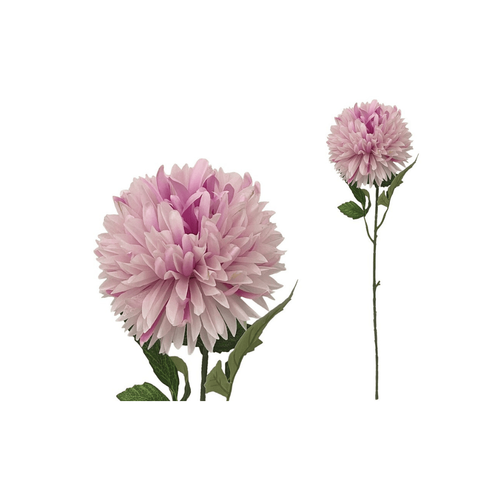 Alpha 55 Rose Tige chrysanthème décorative élégante
