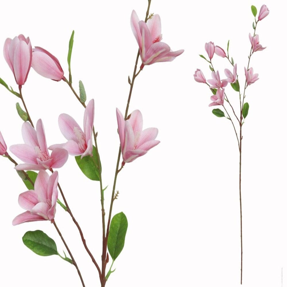 Alpha 55 Rose Tige magnolia x9