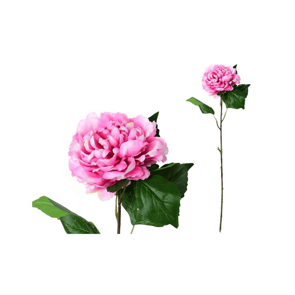 Alpha 55 Rose Tige pivoine décorative élégante