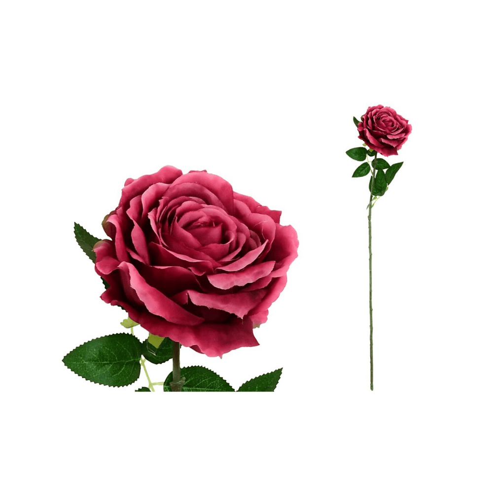 Alpha 55 Rose Tige rose décorative élégante