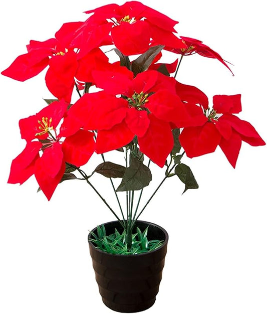 Alpha 55 Rouge Plante Poinsettia en velours