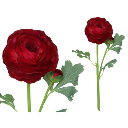 Alpha 55 Rouge Tige de 2 fleurs de renoncule