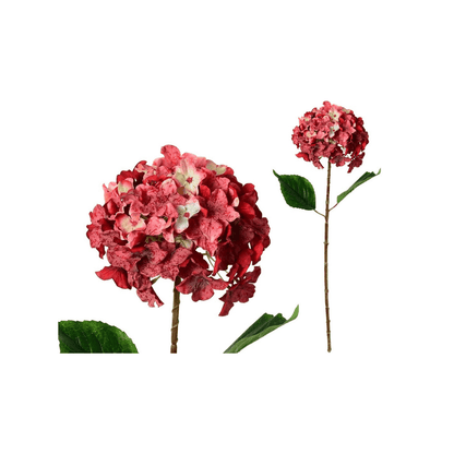 Alpha 55 Rouge Tige hortensia décorative élégante