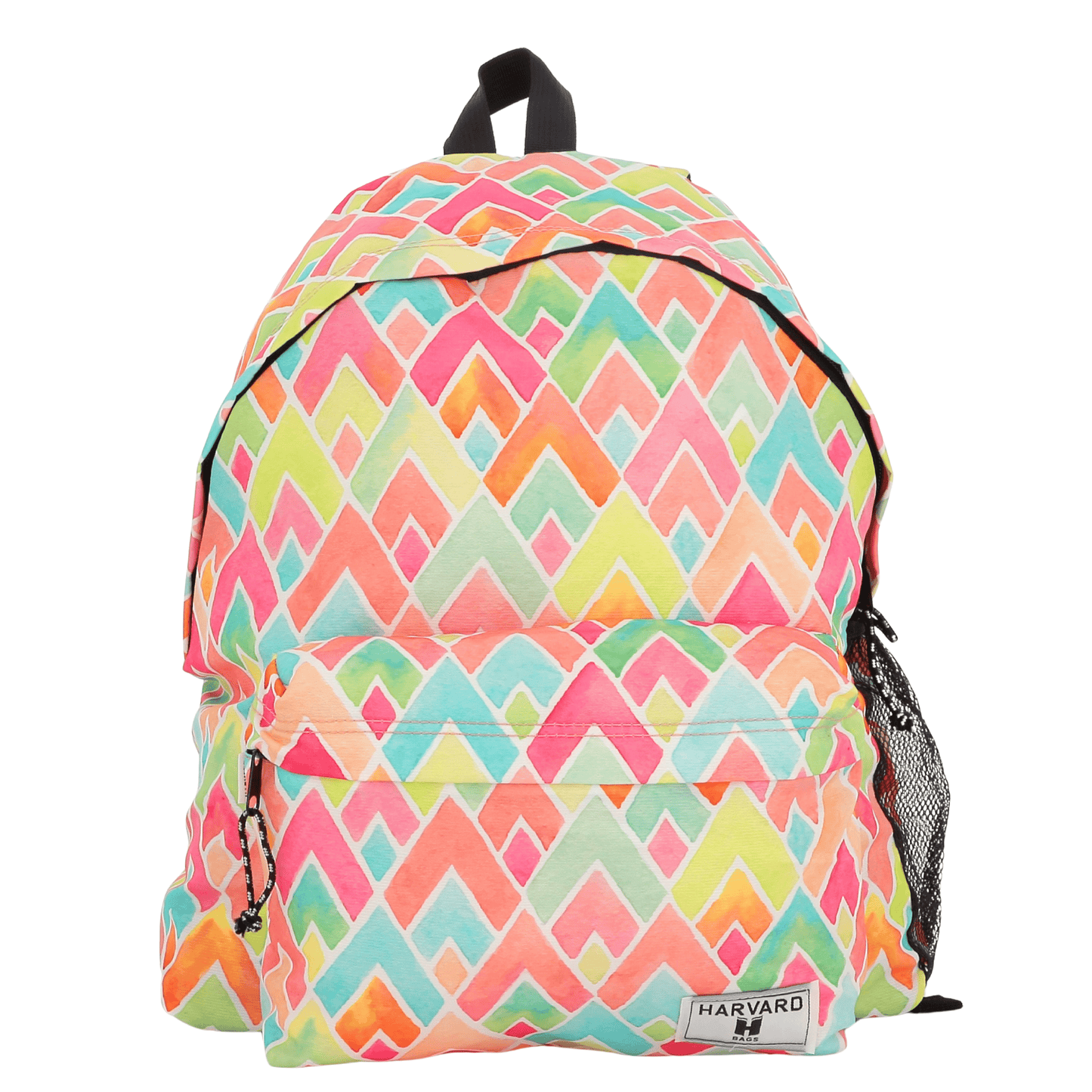 Alpha 55 Sac à dos Harvard Bags  Pastel Roofs Borne