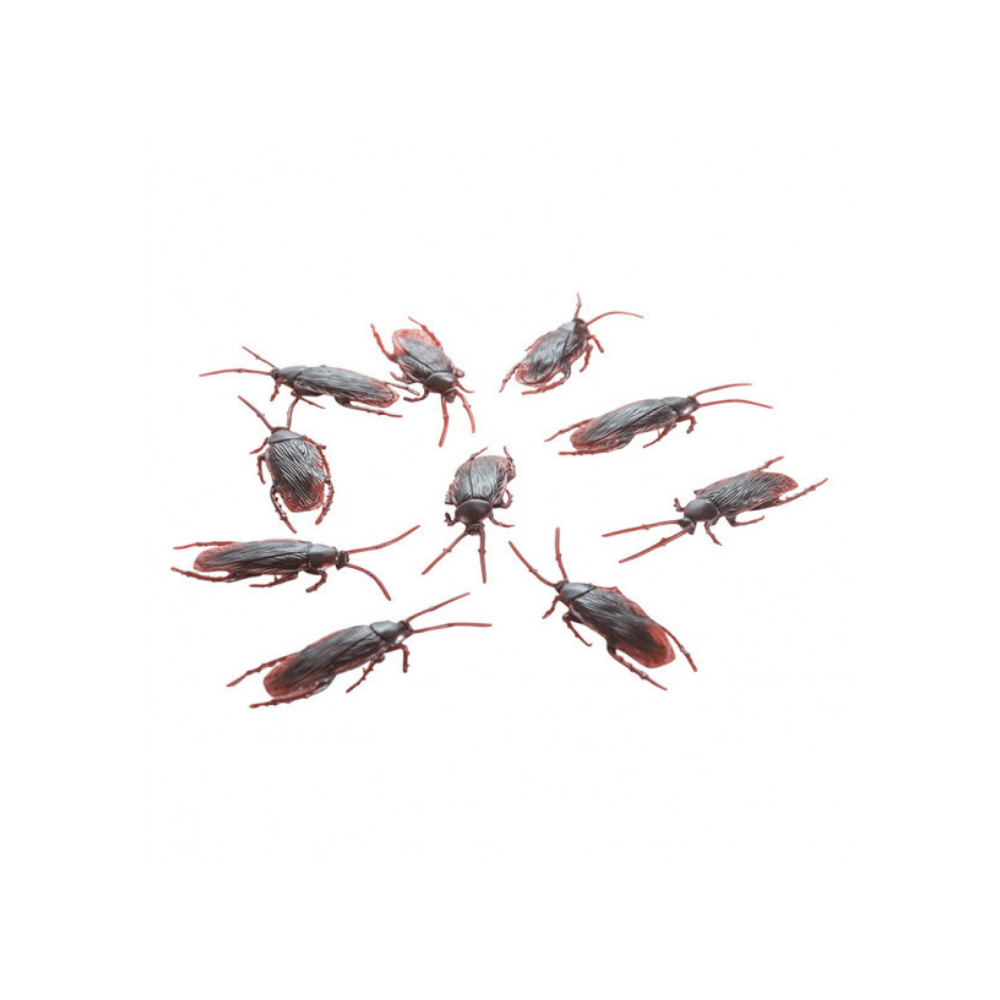Alpha 55 Set de 10 Cafards 7 cm – Décoration Halloween