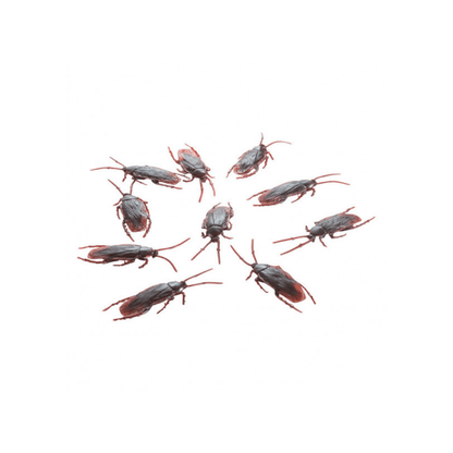 Alpha 55 Set de 10 Cafards 7 cm – Décoration Halloween