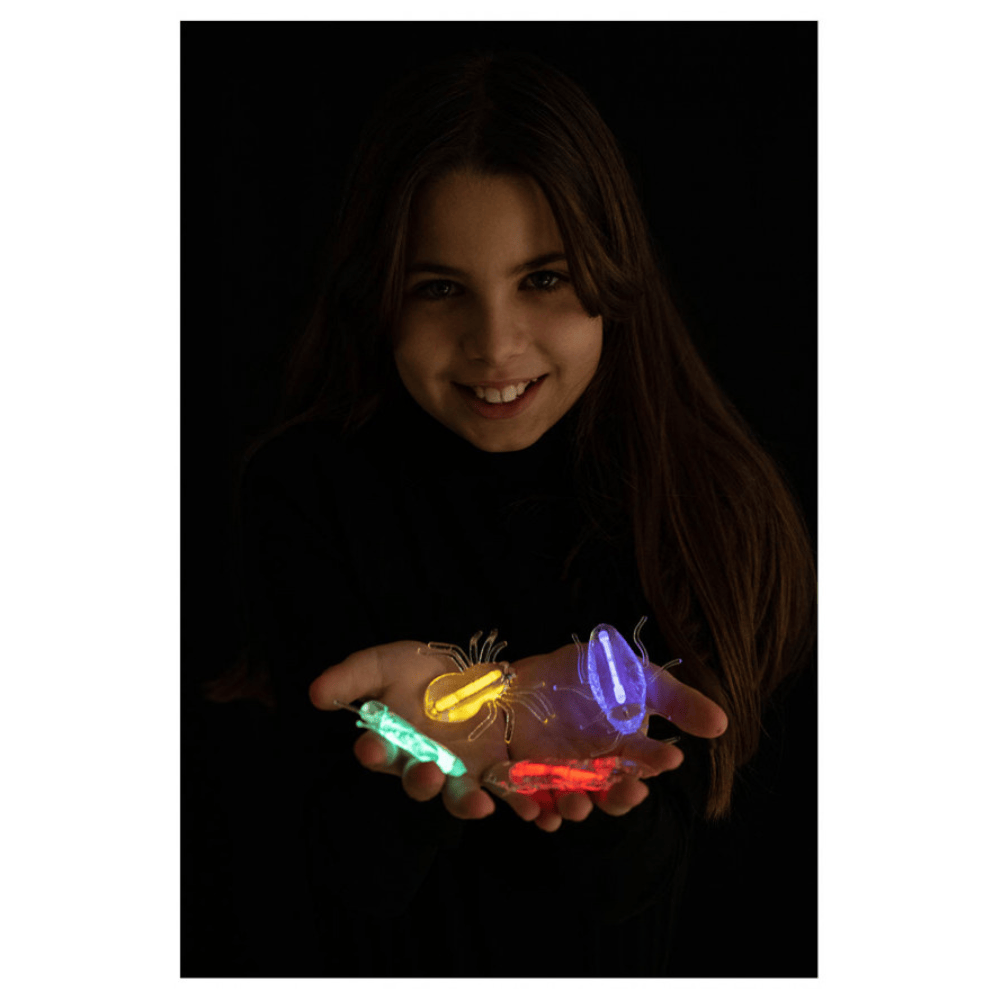 Alpha 55 Set de 4 Insectes Lumineux – Déco Halloween